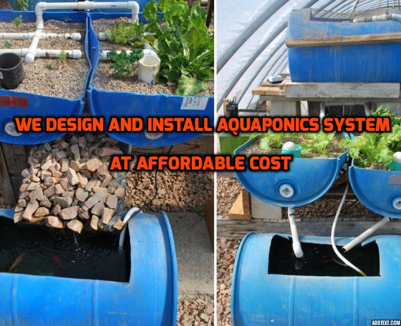 aquaponics system thrissur kerala