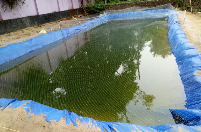 Mekkara Fish Hatchery Thrissur