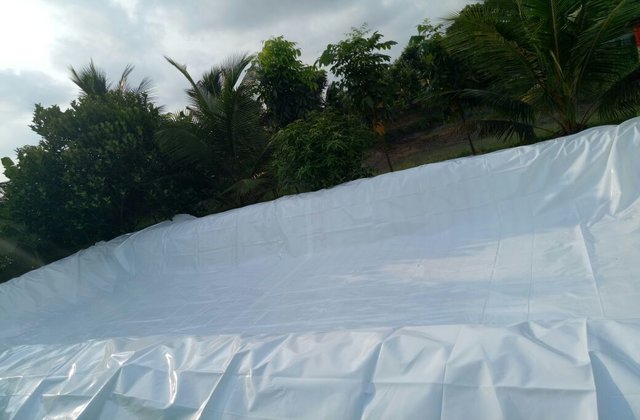 Mekkara Fish Hatchery Thrissur