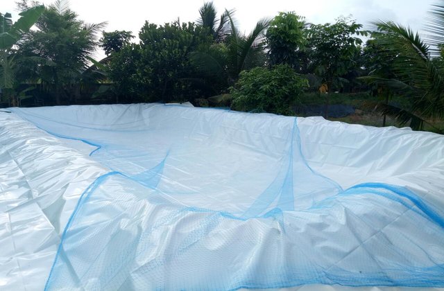 Mekkara Fish Hatchery Thrissur