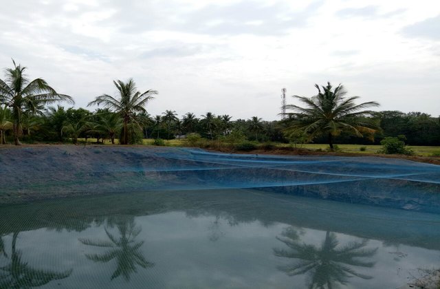 Mekkara Fish Hatchery Thrissur